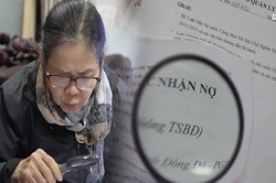 Đồng hành với người cao tuổi