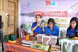 Thanh ni&ecirc;n đi đầu chuyển đổi số ở cơ sở