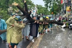 TPHCM lên phương án phòng chống thiên tai trước mùa mưa lũ