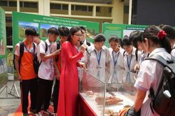 Điểm chạm giữa văn hóa và giáo dục nghề nghiệp