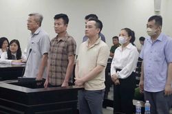 Cựu Chủ tịch C&ocirc;ng ty Nam Triệu: 'C&aacute;c bị c&aacute;o l&agrave;m sai giờ đổ hết cho t&ocirc;i'