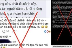 Vì sao một số thuê bao di động bỗng nhận tin nhắn cảnh báo siêu bão?