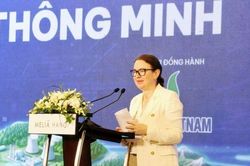Kinh nghiệm quốc tế gợi mở hướng đi cho hạ tầng năng lượng Việt Nam