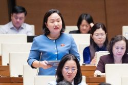 ĐBQH Phạm Th&uacute;y Chinh: Tự chủ năng lượng l&agrave; nền tảng sức mạnh quốc gia
