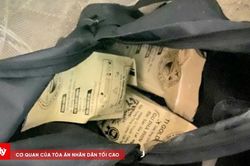 Ph&aacute;t hiện gần 3kg ma t&uacute;y được ngụy trang tinh vi, giao dịch qua mạng x&atilde; hội