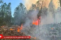 Nỗ lực dập tắt vụ cháy rừng