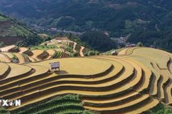 Lấp lánh ruộng bậc thang mùa nước đổ ở vùng cao Mù Cang Chải