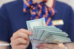 Ng&acirc;n h&agrave;ng Nh&agrave; nước đề xuất nhiều cơ chế mới trong quản l&yacute; dự trữ ngoại hối