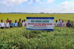 Kinh tế tập thể đổi mới bứt ph&aacute; trong kỷ nguy&ecirc;n số
