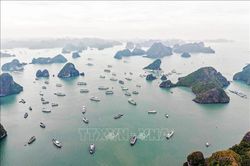 Liên thông dữ liệu cảnh báo dông, lốc cho vịnh Hạ Long, Bái Tử Long