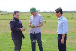 Khơi th&ocirc;ng điểm nghẽn đang k&igrave;m h&atilde;m t&iacute;n dụng xanh