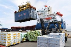 Kết nối doanh nghiệp, thúc đẩy thương mại nông sản Việt Nam - Trung Quốc
