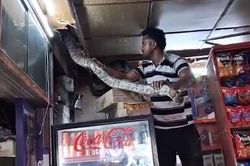 Thấy thứ đáng sợ trên trần nhà, chủ cửa hàng sợ hãi bỏ chạy