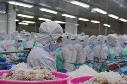 Cà Mau đột phá nhiều lĩnh vực mới để đạt mục tiêu tăng trưởng