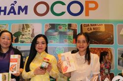 Quảng bá sản phẩm OCOP Cà Mau tại Hà Nội và TPHCM