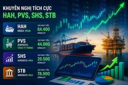 Cổ phiếu khuyến nghị hôm nay 24/6: HAH, PVS, SHS và STB