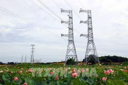 Bốn mạch đường dây 500kV Bắc - Nam cung cấp gần 20% điện cho miền Bắc trong cao điểm nắng nóng