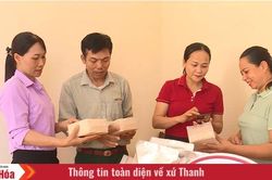 Hợp tác xã tiên phong liên kết sản xuất lúa chất lượng cao