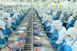 Vĩnh Hoàn ghi nhận doanh thu 1.737 tỷ đồng trong tháng 5, xuất khẩu sang Mỹ tăng 46%