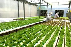 TP. Hồ Chí Minh thành lập 7 Khu Nông nghiệp ứng dụng công nghệ cao