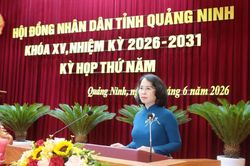 Quảng Ninh th&ocirc;ng qua loạt quyết s&aacute;ch ho&agrave;n thiện ti&ecirc;u ch&iacute; đ&ocirc; thị loại I v&agrave; ph&acirc;n bổ nguồn lực