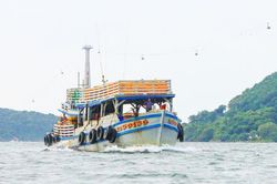 APEC 2027: Từ đảo ngọc đến cửa ng&otilde; đối ngoại của Việt Nam - B&agrave;i cuối: Khi đảo ngọc bước ra biển lớn