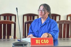 Lĩnh án 24 năm tù vì lừa đảo 'chạy' ranh đất rừng