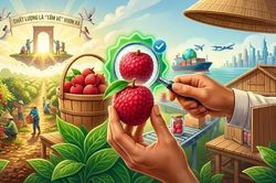 Chất lượng là 'tấm vé' vươn xa