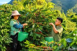 Hành trình lập nghiệp và dấu ấn đảng viên trẻ