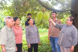 Tạo sinh kế bền vững cho người d&acirc;n Lộc Ninh