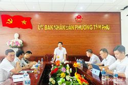 Kiểm tra, xử lý ổ dịch tả heo châu Phi tại phường Tân Phú