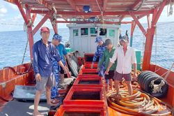 Bắt giữ phương tiện vận chuyển trái phép 55 ngàn lít dầu DO không rõ nguồn gốc