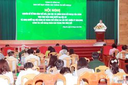 Gần 200 đại biểu được cập nhật chính sách đối ngoại và công tác đối ngoại nhân dân