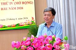 Đảng bộ x&atilde; Thanh Mỹ: Tập trung l&atilde;nh đạo thực hiện hiệu quả c&aacute;c nhiệm vụ ph&aacute;t triển kinh tế - x&atilde; hội