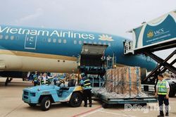 Vận chuyển thành công 6 cá thể sếu đầu đỏ về Việt Nam