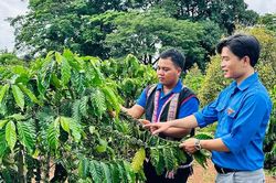 Tiếp sức thanh ni&ecirc;n d&acirc;n tộc thiểu số lập nghiệp