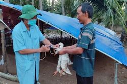 Kiện toàn mạng lưới thú y cấp xã, bảo vệ đàn vật nuôi
