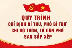 [Infographic] Quy trình chỉ định bí thư và phó bí thư chi bộ thôn, tổ dân phố sau sắp xếp