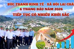 Bức tranh kinh tế - xã hội Lai Châu 6 tháng đầu năm 2026 tiếp tục có nhiều khởi sắc