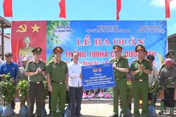 Hạnh Phúc ra quân trồng 100 ha cây dược liệu