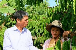 Trao 'cần câu', nâng hiệu quả giảm nghèo