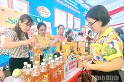 Ứng dụng mạnh mẽ c&ocirc;ng nghệ th&ocirc;ng tin, n&acirc;ng cao năng lực số cho phụ nữ