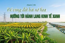 Để vùng đất bãi nở hoa- hướng tới hành lang kinh tế xanh