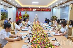 Ban Văn h&oacute;a - X&atilde; hội HĐND tỉnh thẩm tra c&aacute;c dự thảo nghị quyết