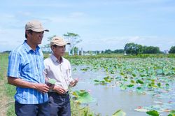 Phát triển kinh tế bền vững từ mô hình tổng hợp