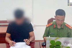 Xử lý trường hợp đăng tải bình luận sai sự thật về sắp xếp, tổ chức lại xóm