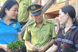 Sắc màu văn hóa Bru - Vân Kiều ở bản Phúc Lộc