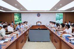 Ba '&ocirc;ng lớn' năng lượng tăng tốc v&igrave; mục ti&ecirc;u tăng trưởng hai con số