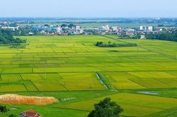 Hà Nội dồn lực hoàn thành toàn bộ dữ liệu đất đai trước ngày 30/8