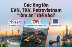 Nửa đầu năm, các ông lớn EVN, TKV, Petrovietnam 'làm ăn' thế nào?